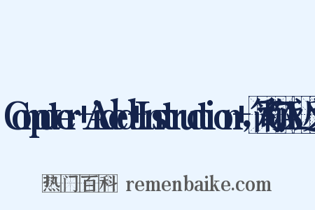 Computer+Aided+Instruction+，简称CAI近义词是什么意思的图片